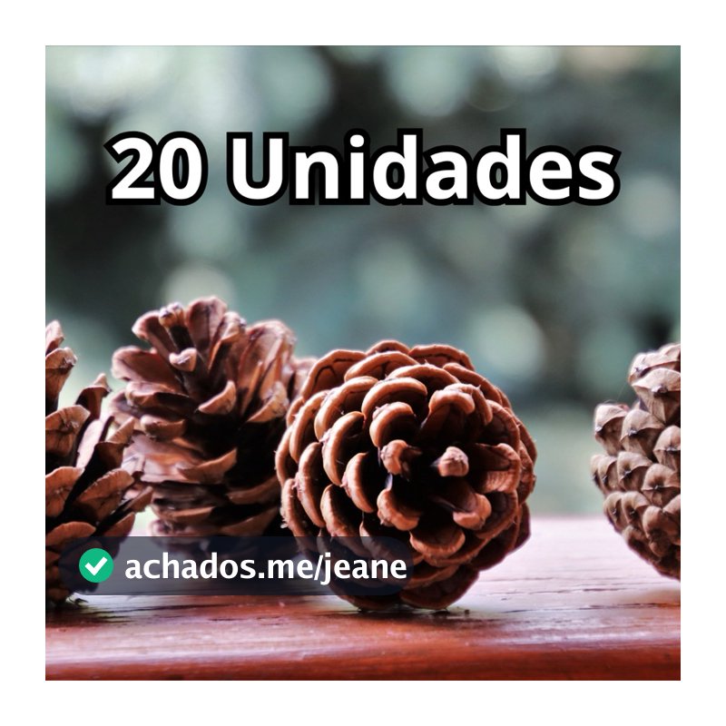 Pinha Natural Kit 20 UNIDADE Artesanato Decoração Alimento Envio Express