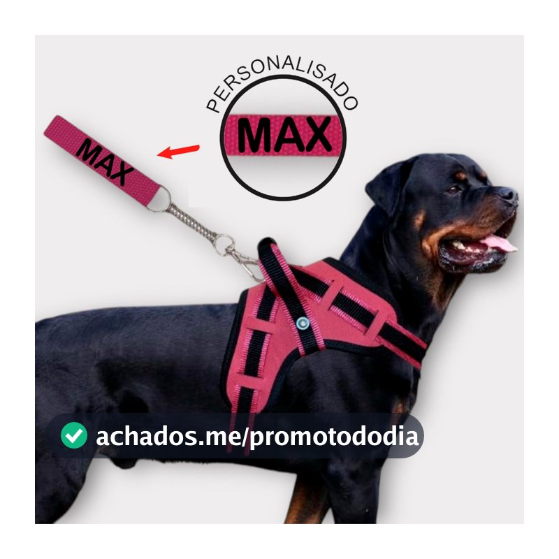 coleira e Guia para cachorro nome personalizado coleira peitoral conforto peiteira sistema amortecedor impacto regulagem