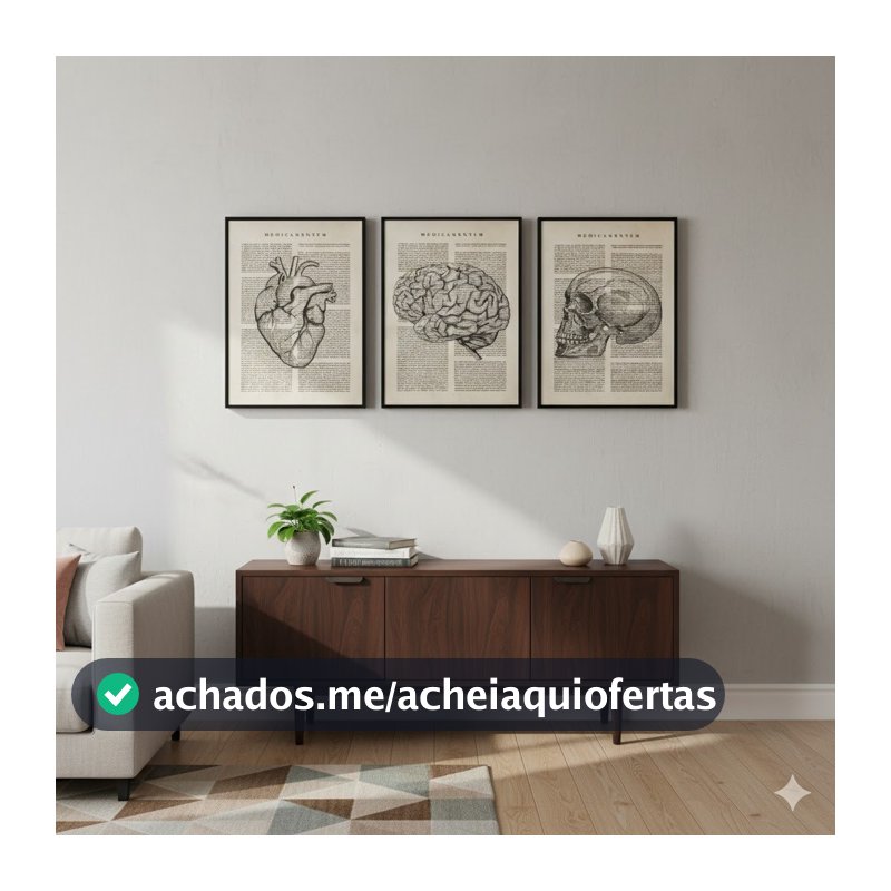 KIT 3 Quadros Anatomia Coração Crânio Cérebro | Decoração Consultório Vintage