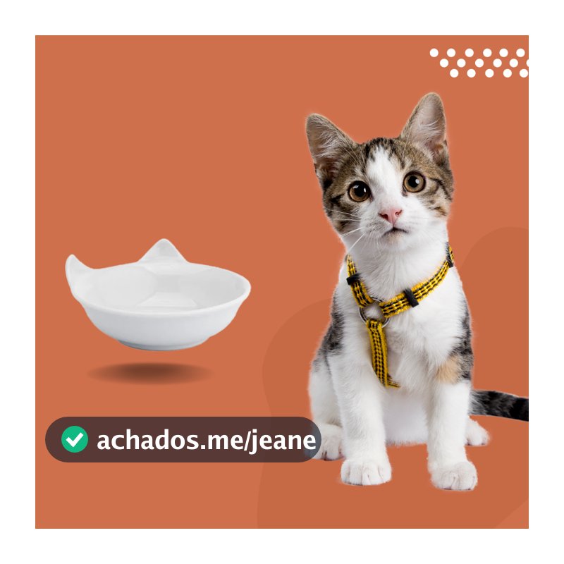 Tigela Prato P/ Gatos Pet Comedouro Porcelana Gato Promoção