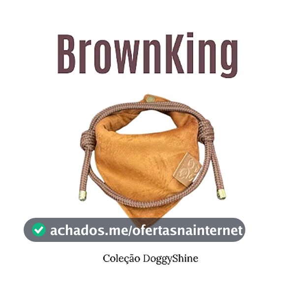 Box com colar e bandana pet