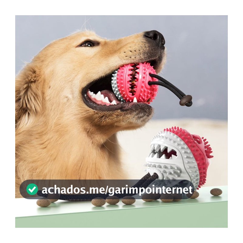 Brinquedo Bola para Cachorro Porta Petiscos Cães Borracha Resistente com Corda para Morder e Puxar
