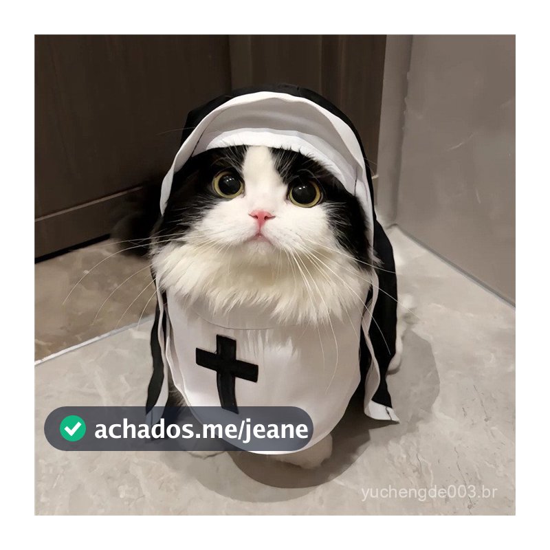 Fantasia de freira para gatos e cães, acessórios engraçados para fotos de cosplay, roupa para animais de estimação peque