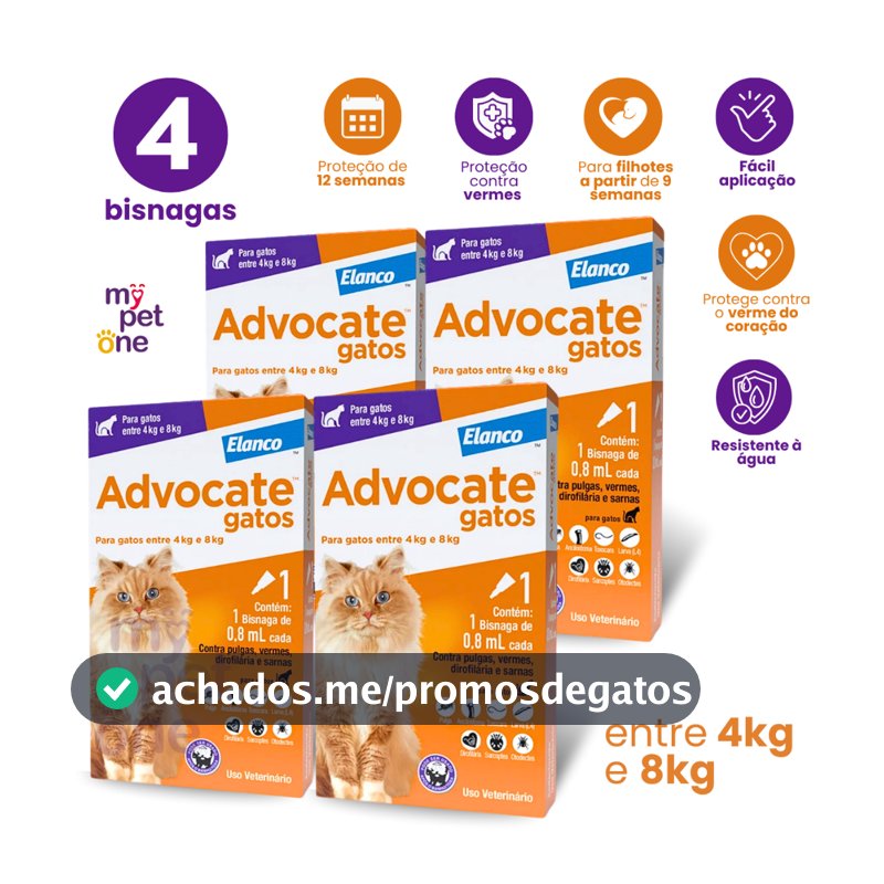 Kit 4 Antipulgas Advocate Elanco 0,8 mL para Gatos de 4 a 8 Kg - 1 Bisnaga