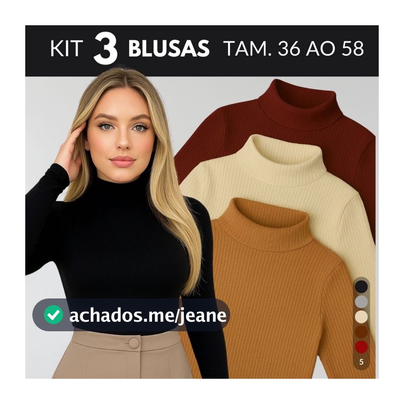 KIT 3 Blusa Gola Alta Feminino Blusa Segunda Pele Feminino Blusas Cacharrel Feminino