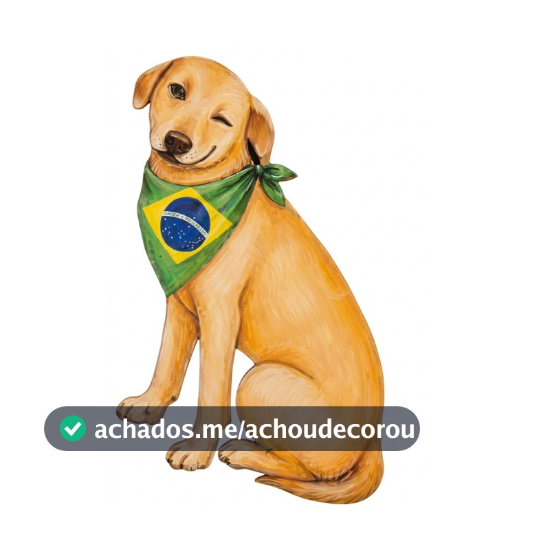 DISPLAY MDF DE CHÃO CACHORRO CARAMELO BRASIL COPA JOGO FUTEBOL DECORAÇÃO FESTA