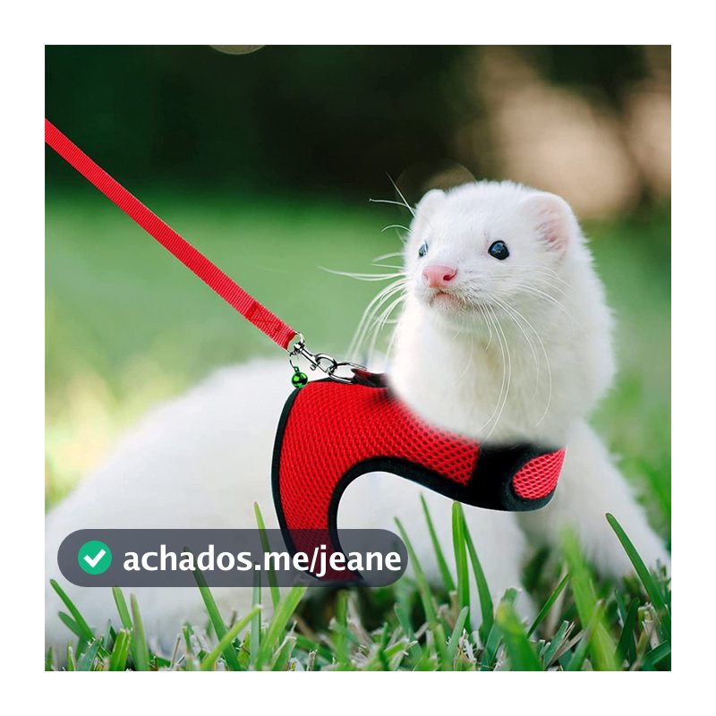 Malha Respirável Coelho Arnês Trela Conjunto Para Pequenos Animais Furões Hamsters Andando Pet Chumbo