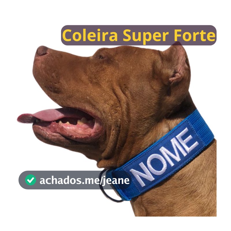 Coleira personalizada para cachorro de médio e grande porte.