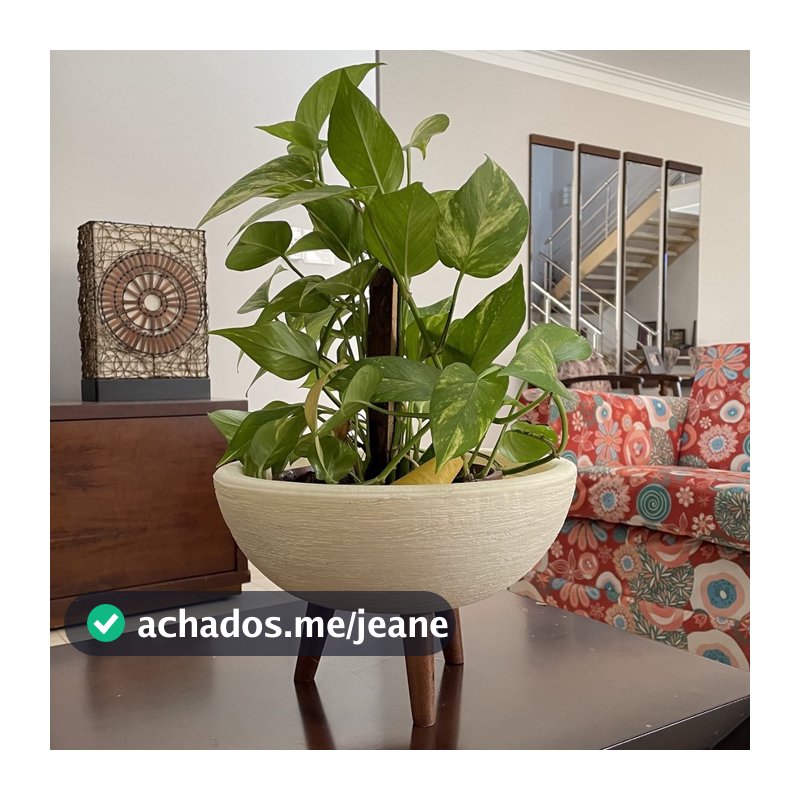 Vaso Bacia 30cm De Polietileno  Com Tripé de Madeira Decorativo Para Flores E Plantas