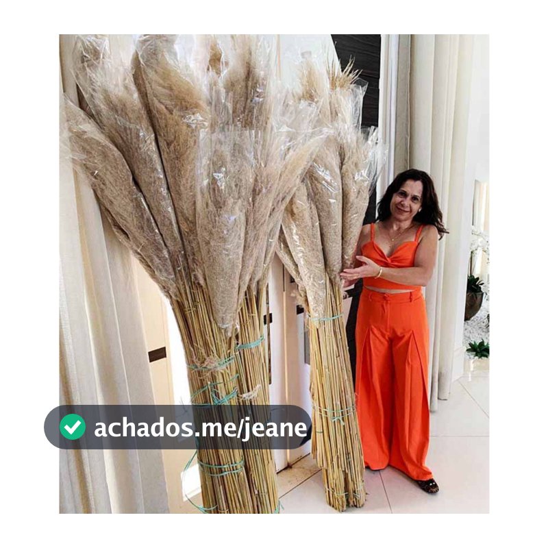 15 Capim dos Pampas de 1,2 m (Tam. Enorme) Natural, Desidratado, Sem emendas