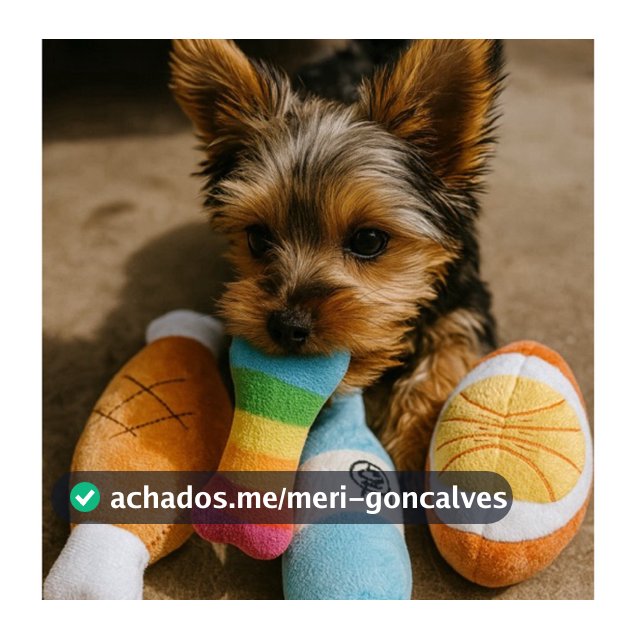 Kit 3 Pelúcia Brinquedo Para Pet Mordedor Antiestresse Com Barulho Apito Cachorro Gato Coloridas