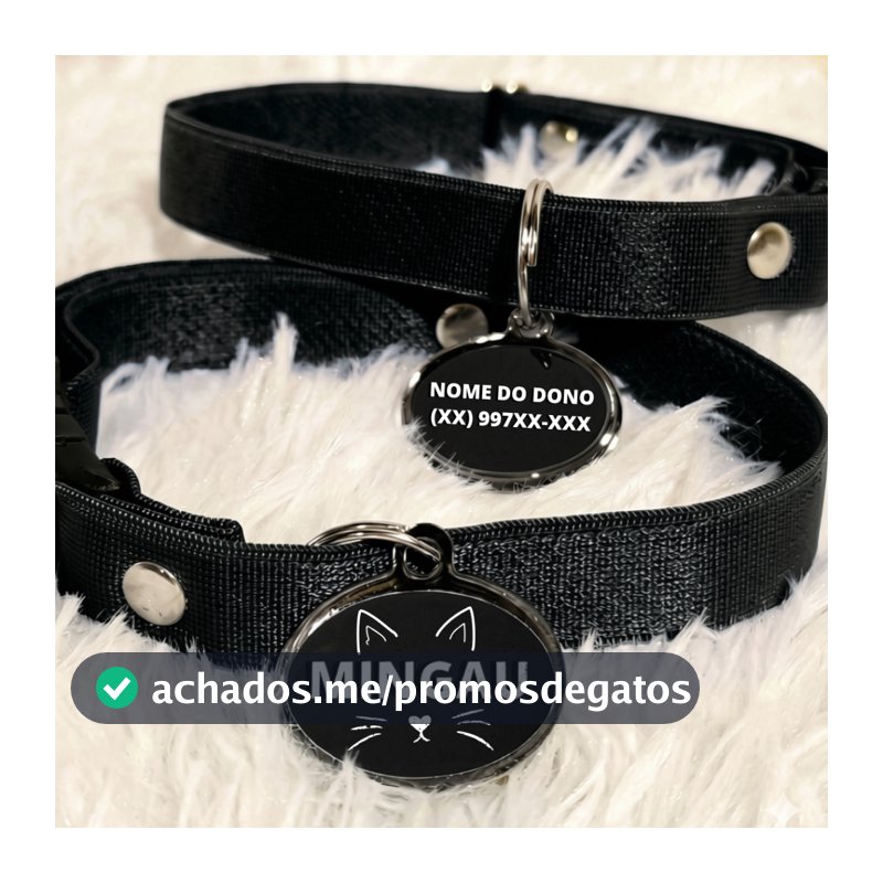 Coleira Para Gato Com Nome e Telefone Gravação Grátis Personalizada
