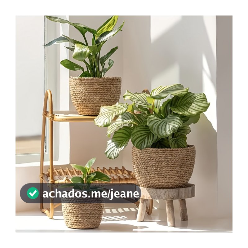 Kit 3 Vasos Cachepot Fibra Natural Estilo Vime Decorativo para Plantas