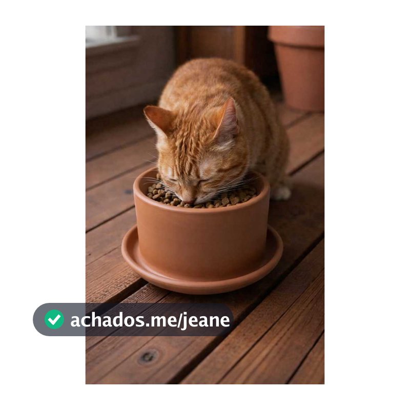 Kit 2 Comedouros Gato/Cachorro  Cerâmica (Anti Fôrmiga)   (21,5 X 11,0Cm).