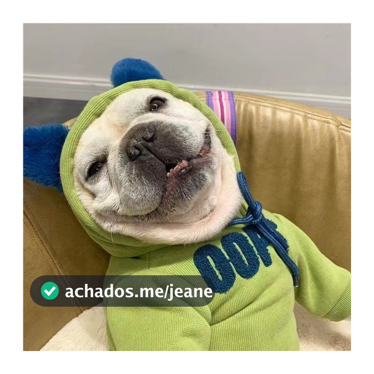Moletom Com Capuz Para Animais De Estimação Forro De Lã Grosso Francês Buldogue Poodle Ted
