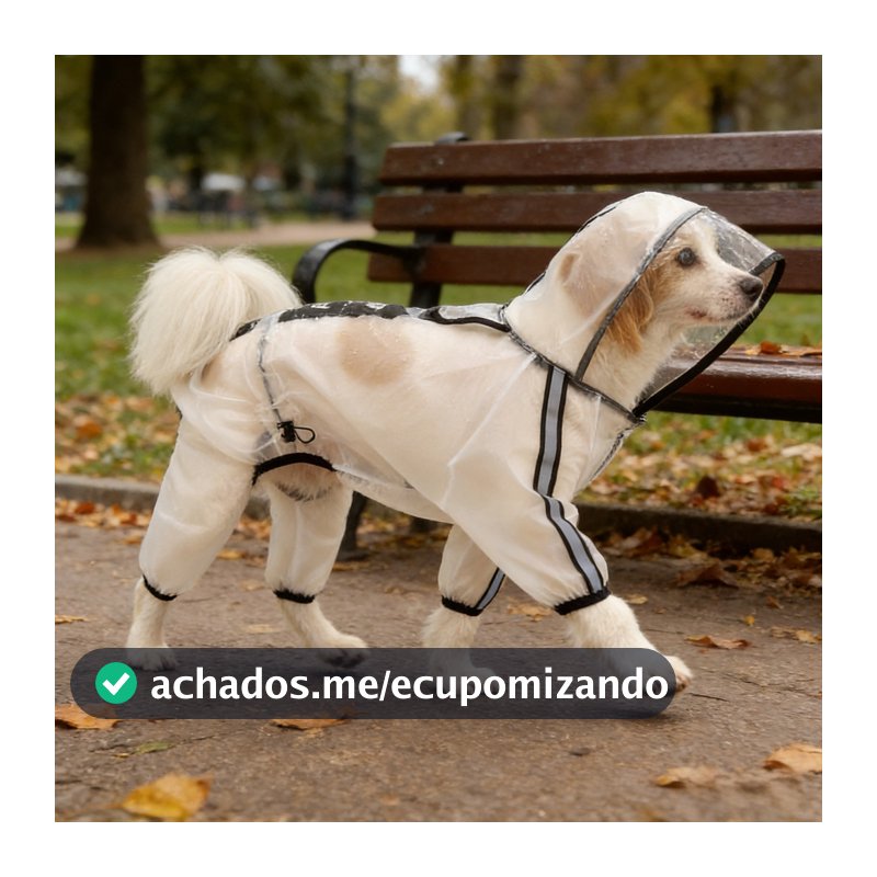 Capa de chuva transparente e impermeável para cães, com capuz—para cães de pequeno a médio porte