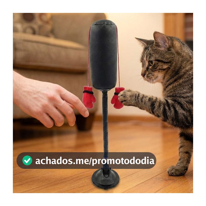 Brinquedo de saco de boxe para animais de estimação LACYES, Boxer de gato autônomo, com ventosa, brinquedo de jogo