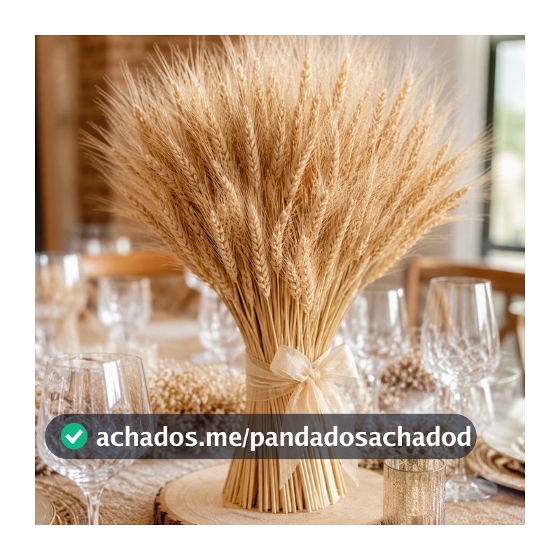 200 Hastes Trigo Seco Desidratado Para Decoração Natal Casamento Convite