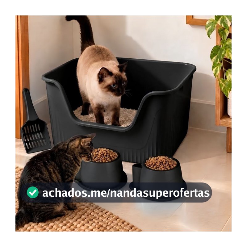 KIT CAIXA DE AREIA GIGANTE GRANDE ALTA CAMINHA TOALETE GATO ANTIODOR SANITARIO ABERTA FURBA COMEDOURO PA HIGIENICA