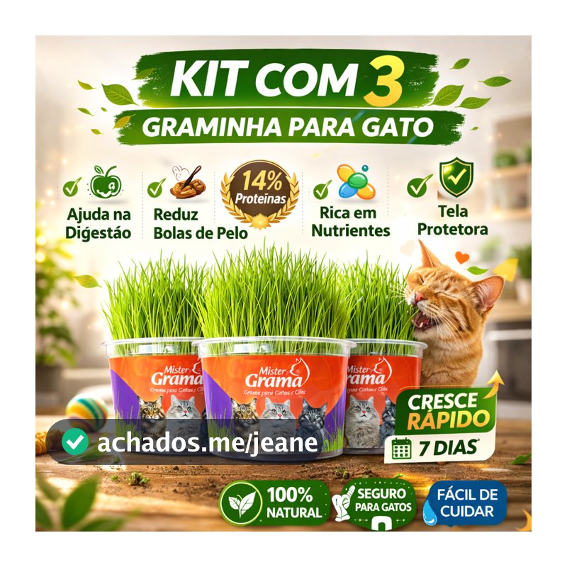 Grama Para Gato Mister C/ 3 Unidades – Auxilia na Digestão e Bola de Pelo / Fácil de Plantar