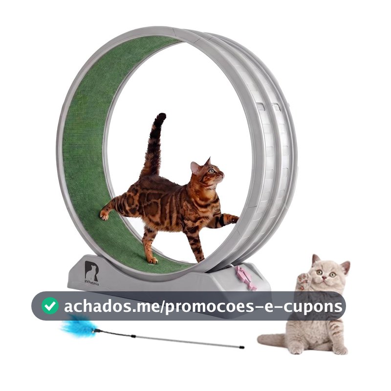 Esteira Roda De Exercicios Para Gatos Silenciosa Antiestresse Suporta 15kg Com Brinde Interativo