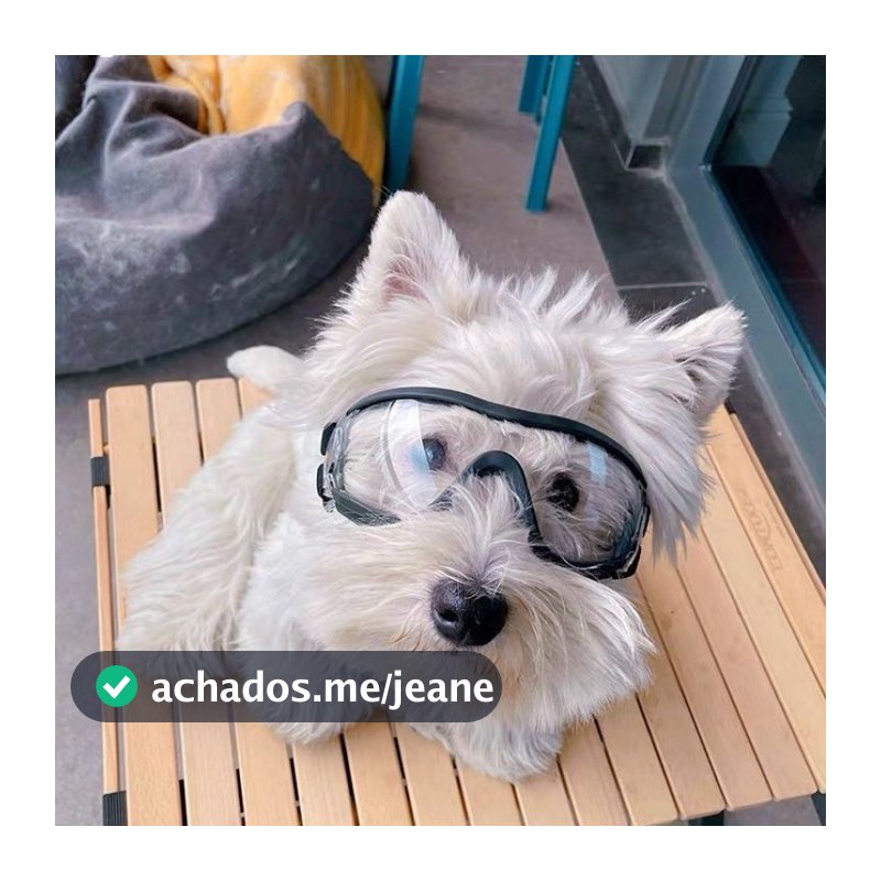 Óculos de Proteção para Cães Transparentes Novos à Prova d'Água Vento Resistente Protetor Solar Resistente a Raios UV
