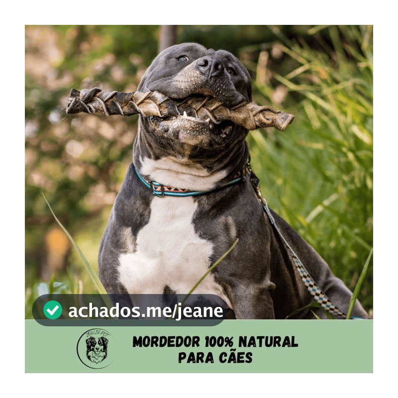Trança de Couro Bovino para Cachorro Natuka - Mordedor Natural Pet P M G