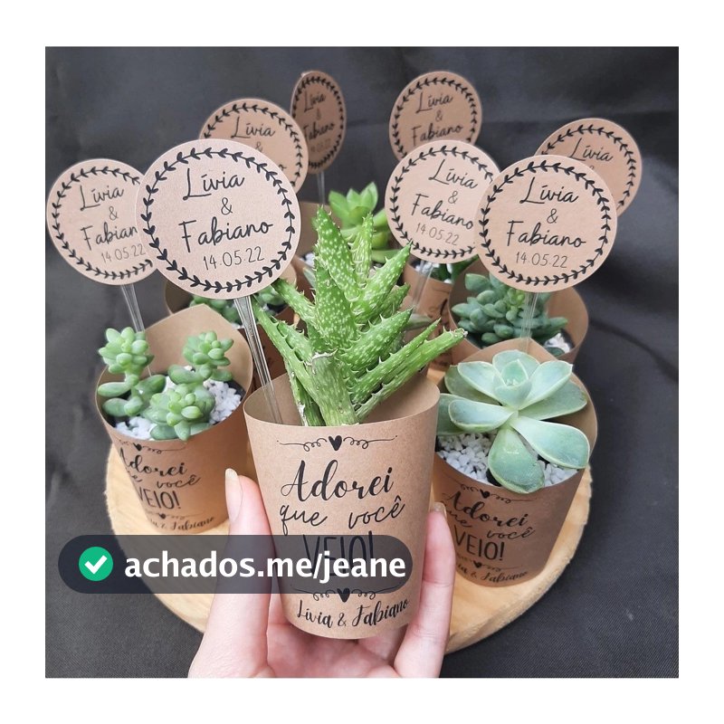Kit 100 Rótulos + 100 Tags Personalizadas para Suculentas | Lembrancinhas em Papel Kraft