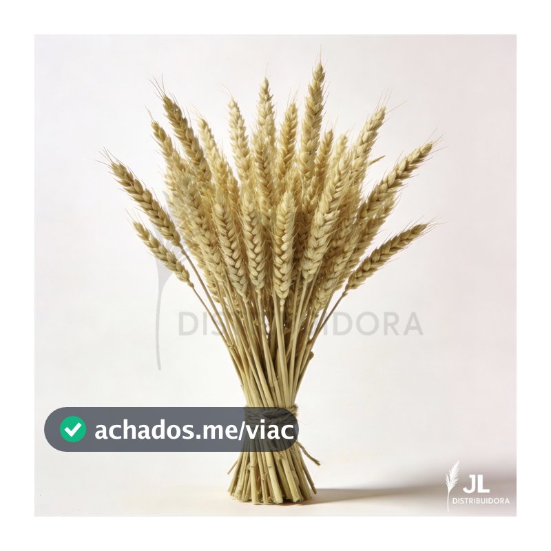 20 Hastes de Trigo Seco Decoração Farmhouse Enfeites para Sala Elegante Arranjo Artesanato Buquê
