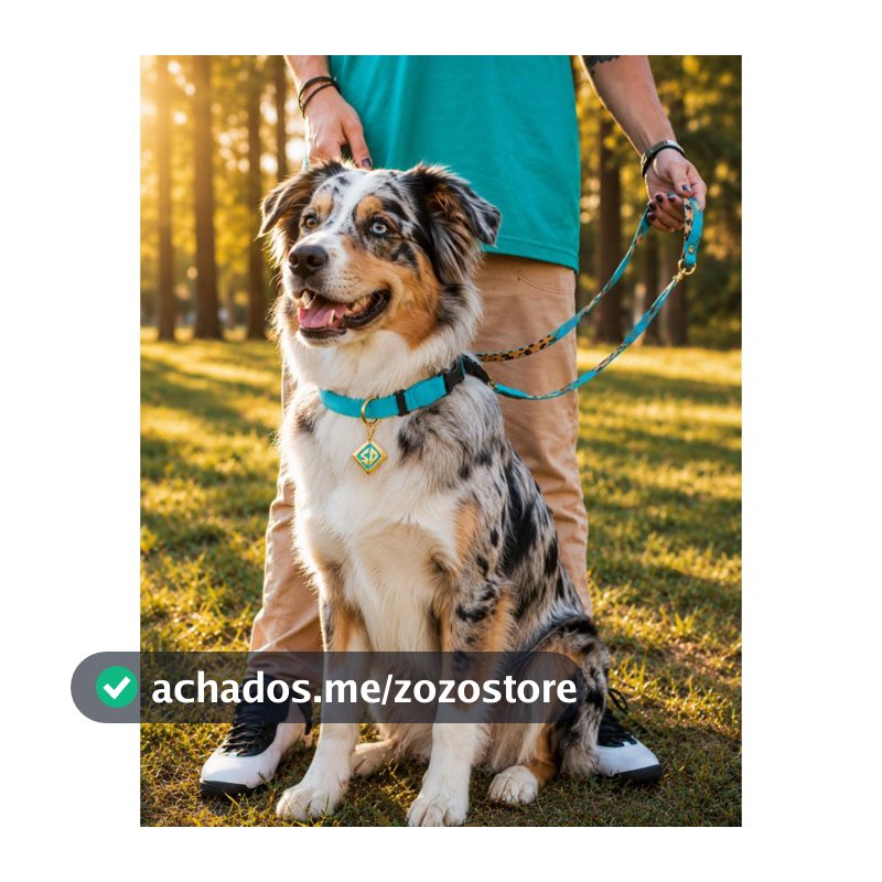 Coleira Para Cães Freefaro Licenciado ScoobyDoo Pet - G