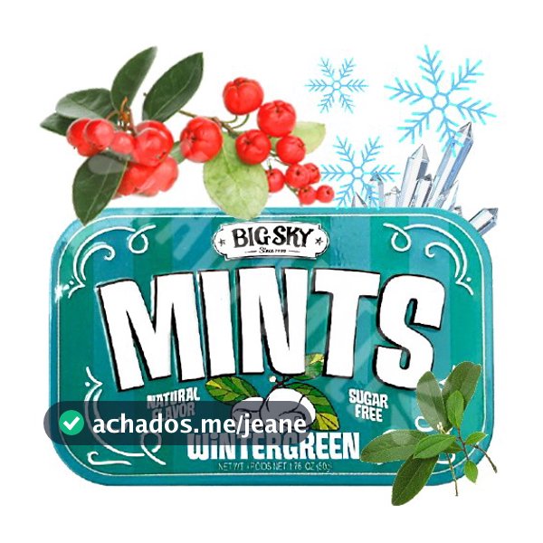 Mints WINTERGREEN / 50g - Big Sky