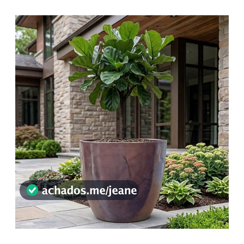 Vaso Para Planta Polietileno Bojo Liso Nº 3 e 4 Grande Gigante 92L Com Prato Coletor Decorativo Jardim Sala Resistente