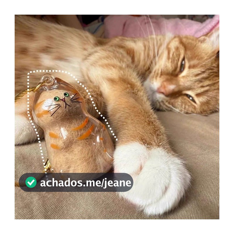O Novo Pingente Transparente De Caixa De Armazenamento De Pêlos De Gato Tem Uma Variedade De Estilos Para Escolher , Cha