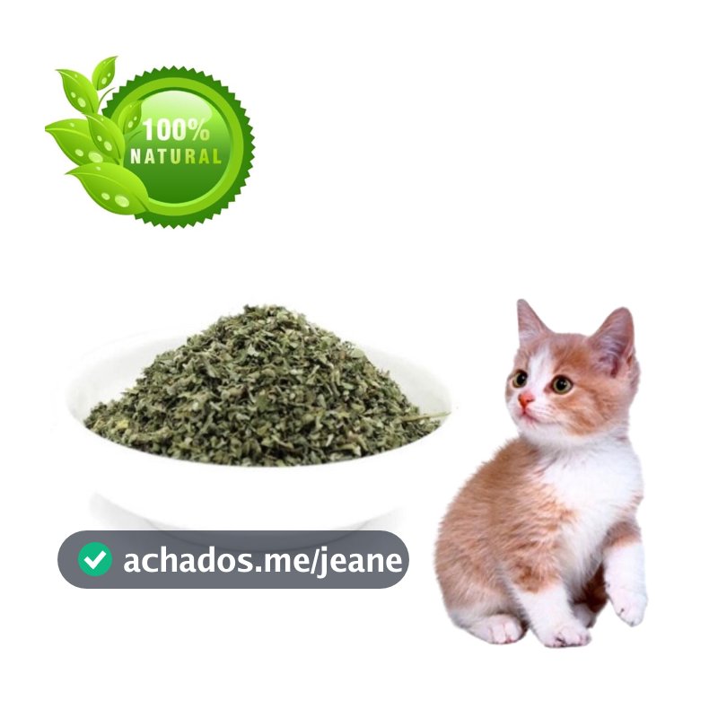 Catnip Erva Do Gato 100% Natural Deixa o Gato Feliz.
