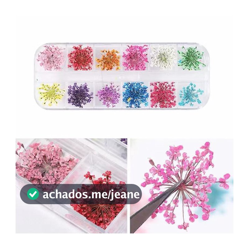 12 Cores Flores Secas para Unhas Nail Art Encapsulada Decoração Gel Acrílico