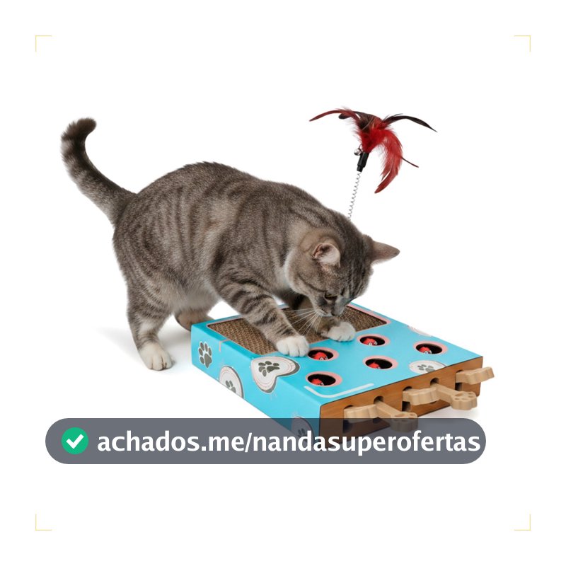 Brinquedo Arranhador Interativo de Caça para Gato 3x1