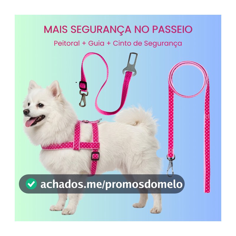 Kit Peitoral + Guia + Cinto Segurança Para Cachorro Carro