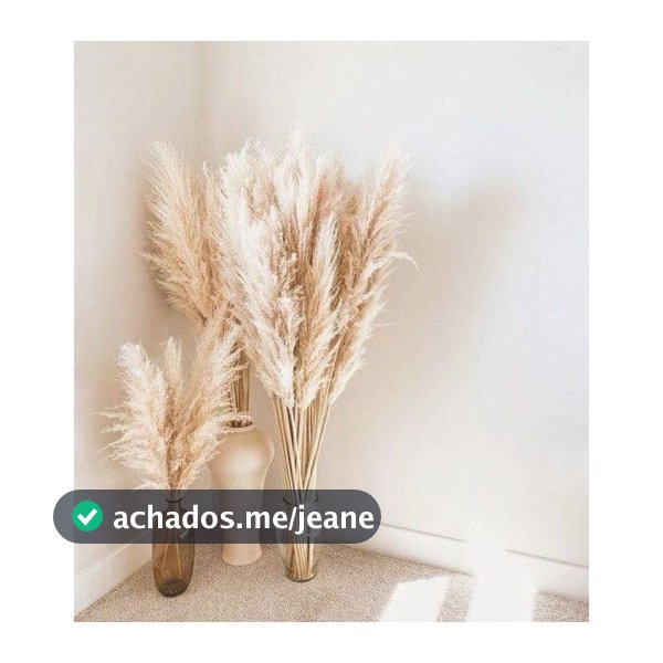 Kit com 10 Plumas Natural / Capim dos Pampas