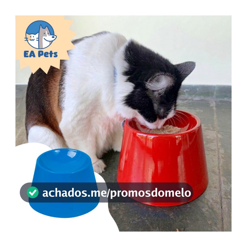Comedouro Funcional Da Pet Games Alto Elevado E Raso Cat Eat Para Gato Confortável E Saudável