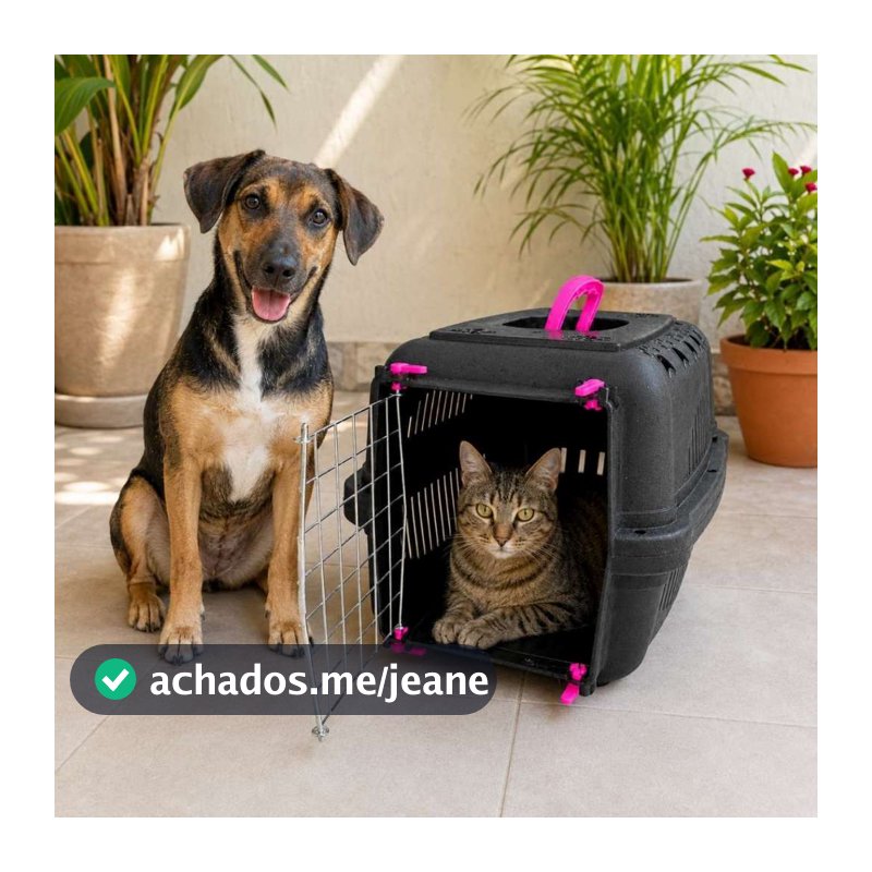 Caixa Transporte Pet Grande Pequena Média Cachorros Cães Gatos Coelhos N1 N2 N3 Portinha de Aço