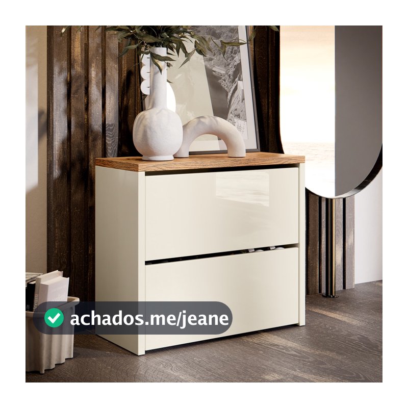 Sapateira Organizadora 2 Portas Basculante varias cores
