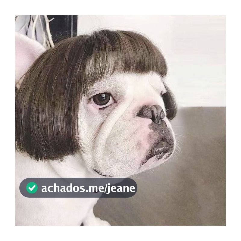 Peruca de Franjas Fofas e Engraçadas para Cães e Gatos - Acessório de Cabeça Simulação Espessada