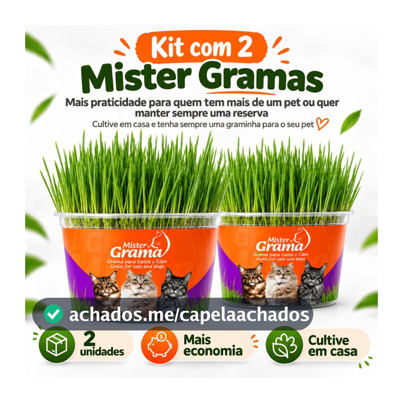 Grama Para Gato Mister C/ 2 Unidades – Auxilia na Digestão e Bola de Pelo / Fácil de Plantar