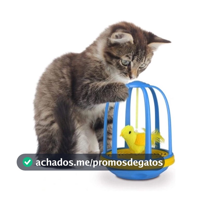 Beinquedo Interativo Para Gatos Gaiola Com Passaro e Som