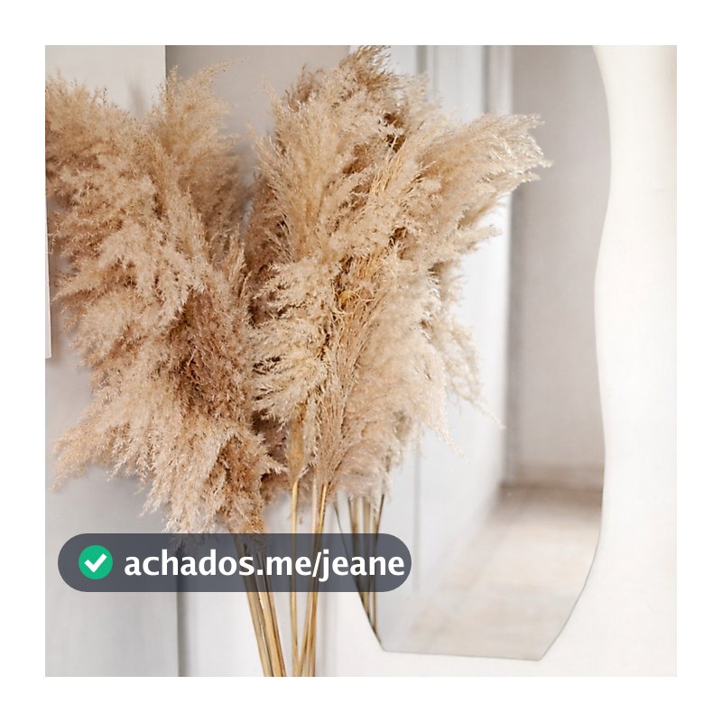 Kit 10 Capim dos Pampas Decoração Plumas Natural Com Hastes 150cm Boho
