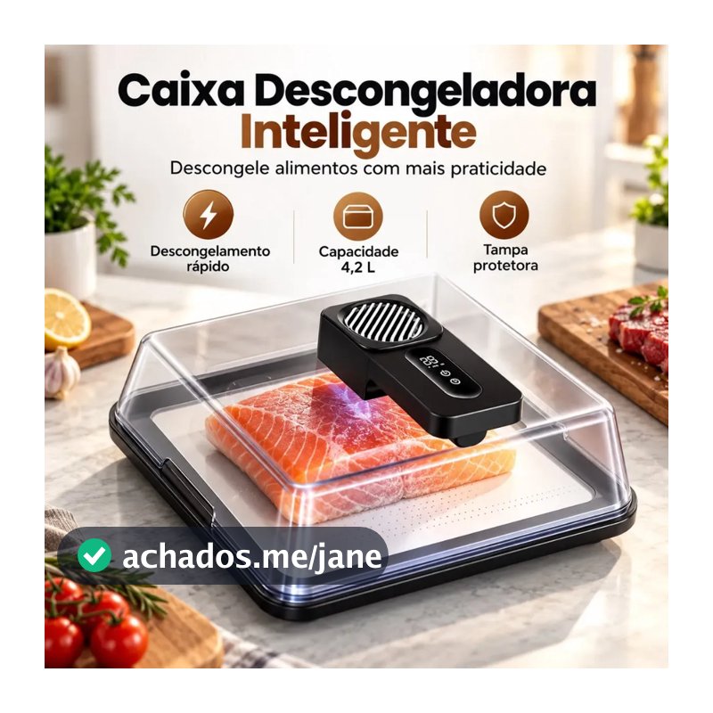 Descongelador Elétrico de Alimentos 4.2L Rápido 10 Minutos Com Tampa p/ Carne e Cozinha - Descongelamento Rápido