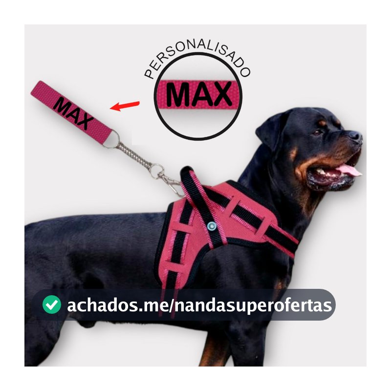 coleira e Guia para cachorro nome personalizado coleira peitoral conforto peiteira sistema amortecedor impacto regulagem