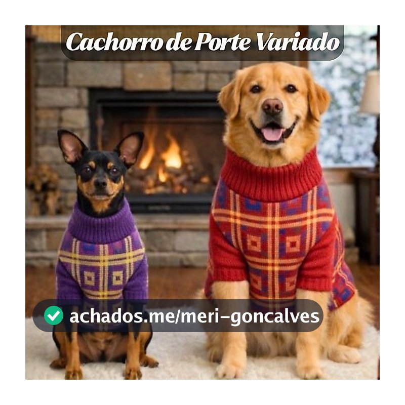Roupa Tricot Para Cachorro Inverno Quente Confortável Para Dias Frios Tecido Macio Cores Sortidas