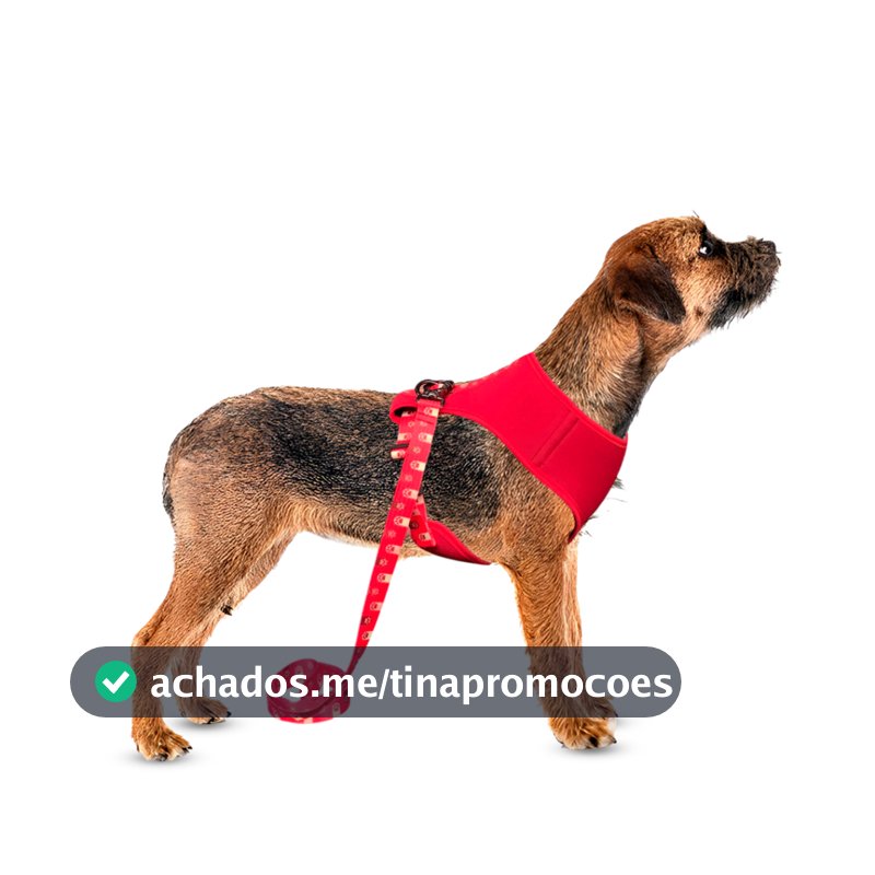 Conjunto Peitoral Neoprene Com Guia De Seda Para Cachorro Cão Porte Pequeno - Conforto E Estilo Pet