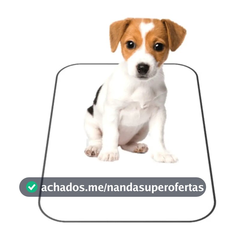 Kit 4 Tapete Higiênico Caes Lavável Cachorro Xixi Dog Grande Preto